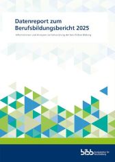 Datenreport zum Berufsbildungsbericht 2025